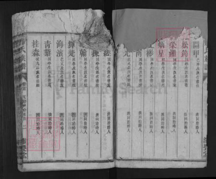 湖南省株洲市炎陵县霞阳镇刘氏沛丰堂族谱-刘氏族谱.pdf电子版插图2
