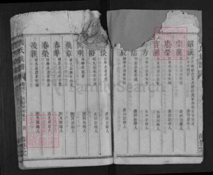 湖南省株洲市炎陵县霞阳镇刘氏沛丰堂族谱-刘氏族谱.pdf电子版插图4