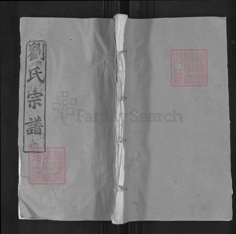 湖北省武汉市新洲区刘氏天禄堂族谱-刘氏家谱.pdf电子版插图