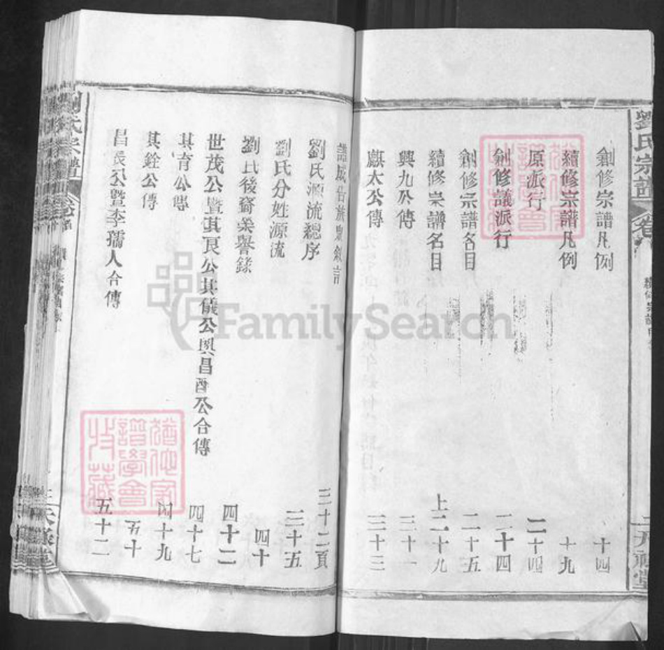 湖北省武汉市新洲区刘氏天禄堂族谱-刘氏家谱.pdf电子版插图2