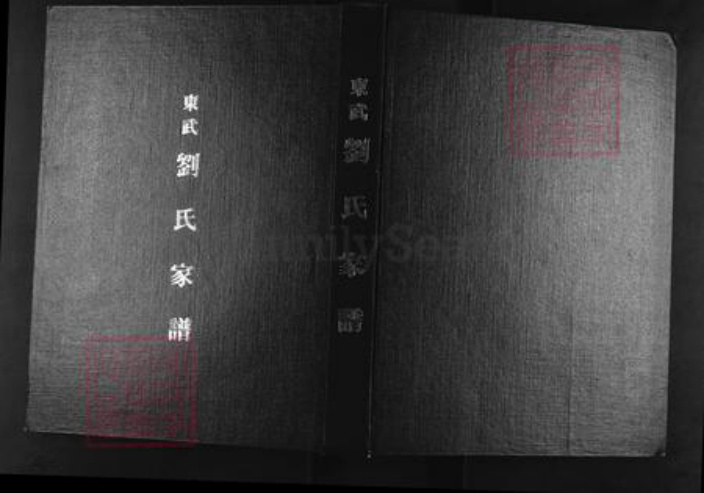 山东省潍坊市高密市注沟镇刘氏族谱-东武刘氏家谱.槎河支谱.pdf电子版插图