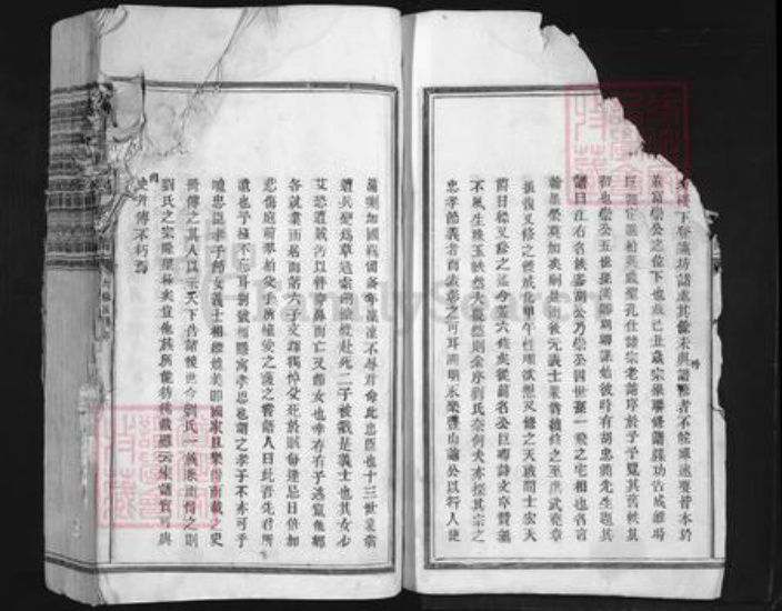 江西省吉安市吉水县阜田镇刘氏族谱-刘有显公支派十修族谱.pdf电子版插图3