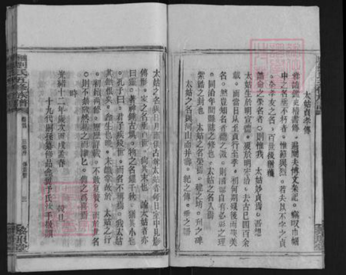 湖南省邵阳市邵东刘氏黎照堂族谱-曲塘刘氏五修族谱.pdf电子版插图3
