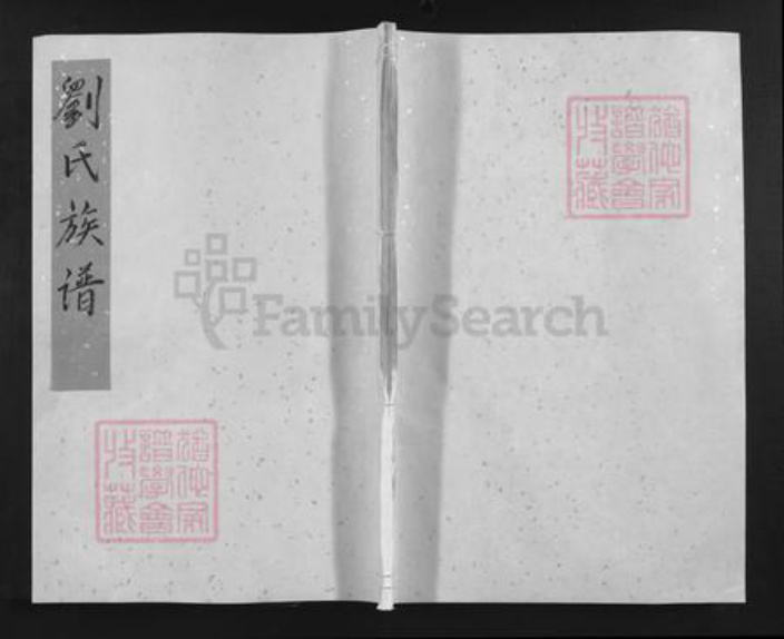湖南省邵阳市邵阳县刘氏藜光堂族谱-刘氏族谱.pdf电子版插图