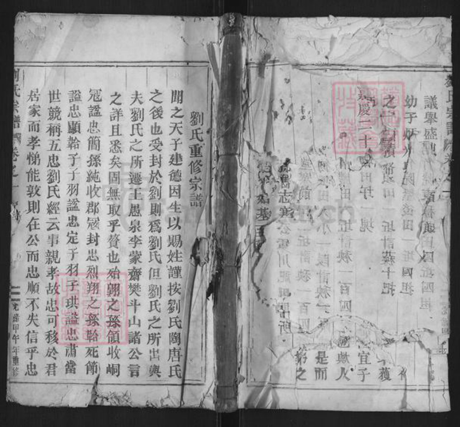 浙江省丽水市缙云县石笕乡刘氏族谱-刘氏宗谱.pdf电子版插图