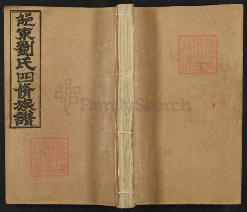 湖南省邵阳市新宁县刘氏藜照堂族谱-邵东刘氏四修族谱.pdf电子版插图