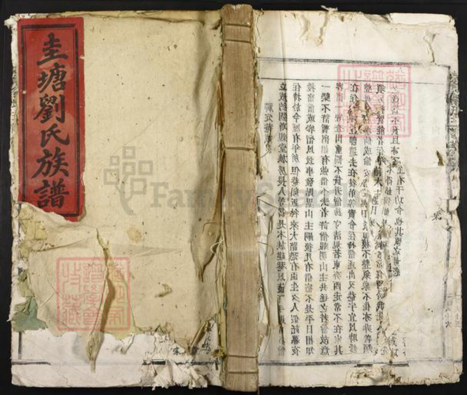江西省吉安市泰和市刘氏尊亲堂族谱-圭塘刘氏三修族谱.pdf电子版插图