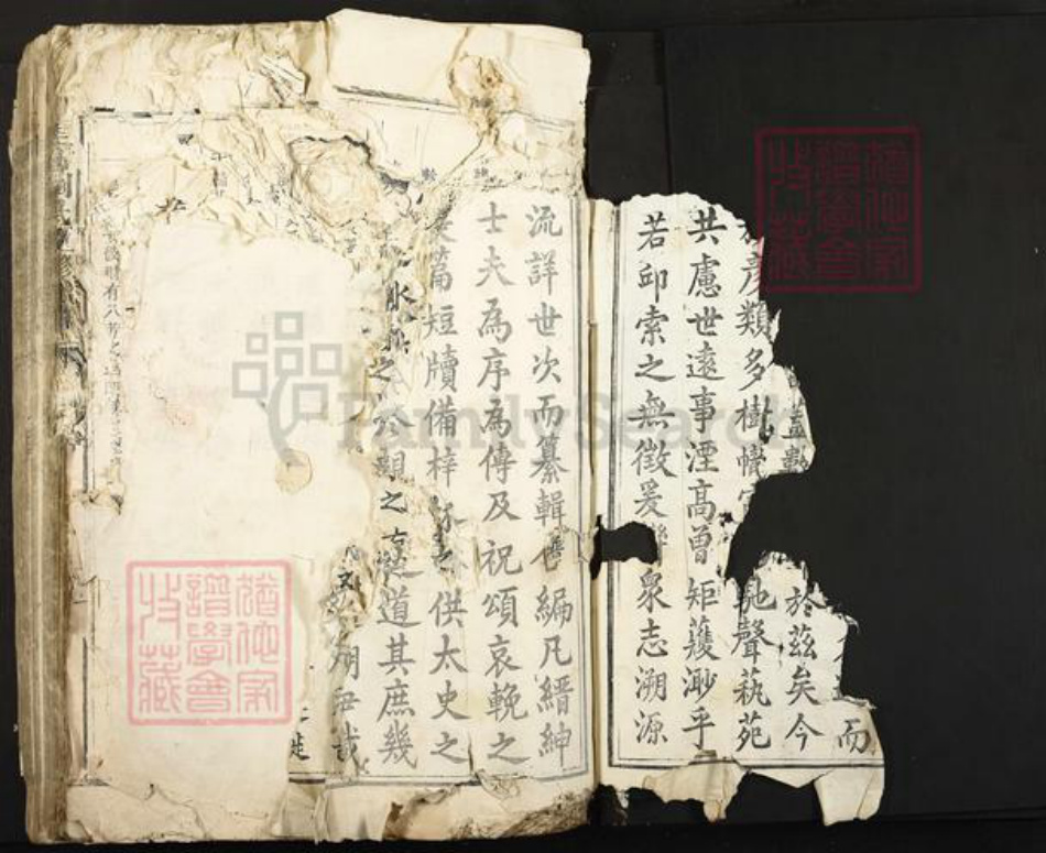 江西省吉安市泰和市刘氏族谱-圭塘刘氏重修族谱.pdf电子版插图2