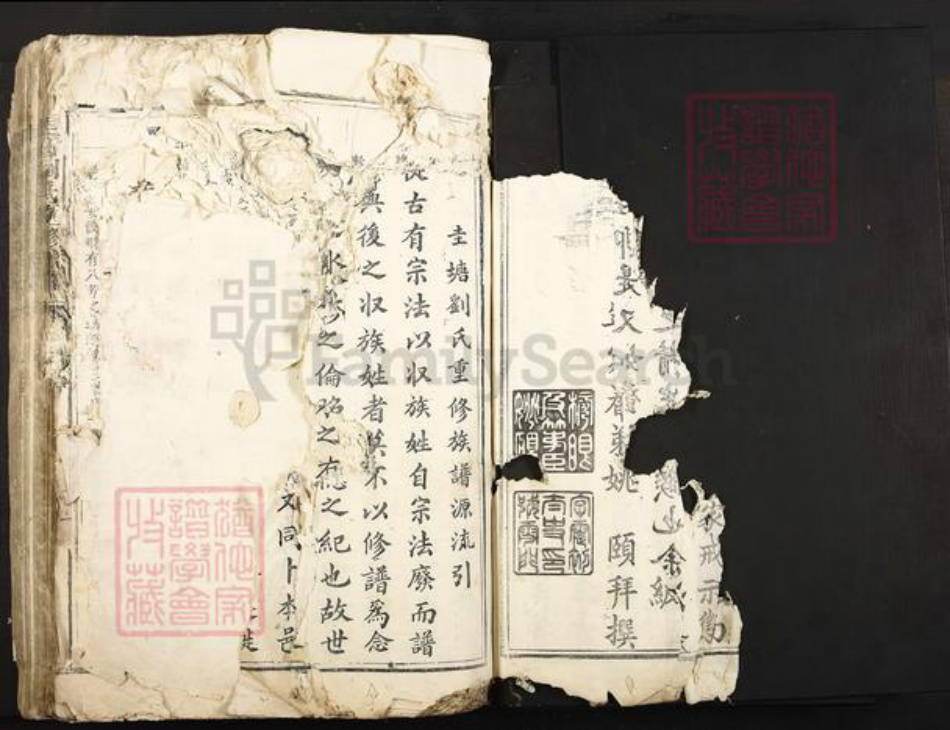 江西省吉安市泰和市刘氏族谱-圭塘刘氏重修族谱.pdf电子版插图4