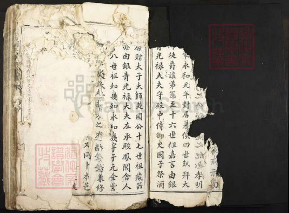 江西省吉安市泰和市刘氏族谱-圭塘刘氏重修族谱.pdf电子版插图5