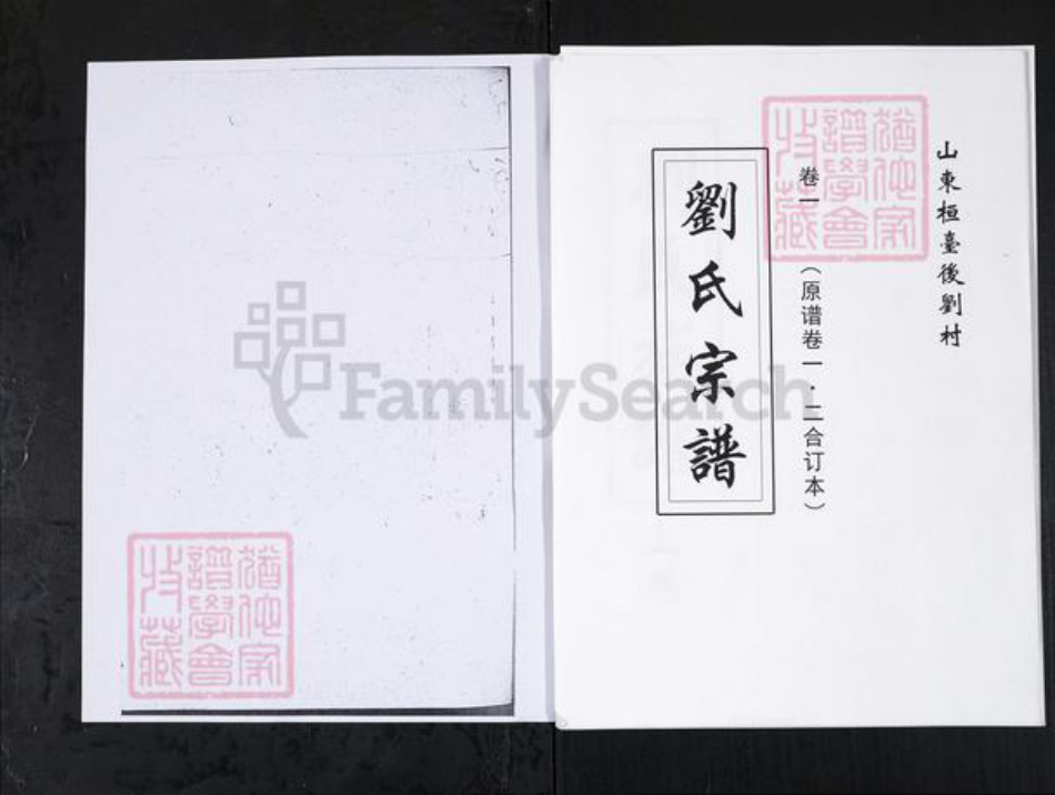 山东省淄博市刘氏族谱-刘氏族谱.山东桓台后刘村[上下卷].pdf电子版插图
