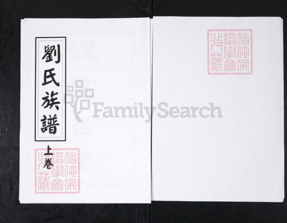 山东省淄博市刘氏族谱-刘氏族谱.山东桓台后刘村[上下卷].pdf电子版插图1