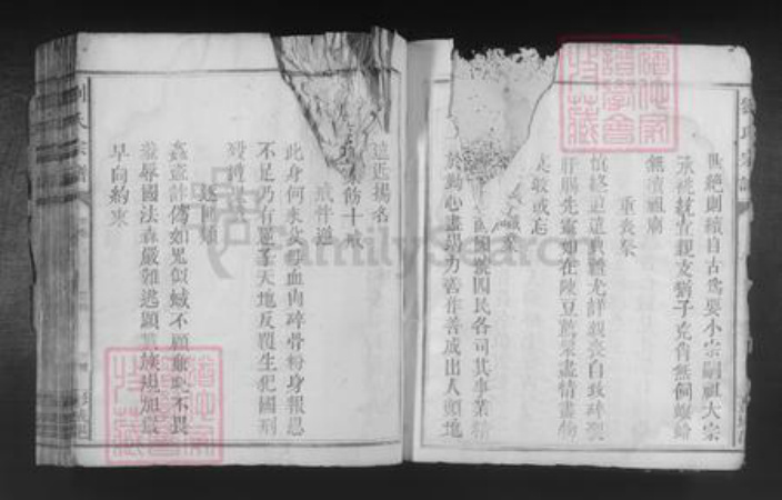 江西省赣州市章贡区刘氏族谱-刘氏宗谱.pdf电子版插图5