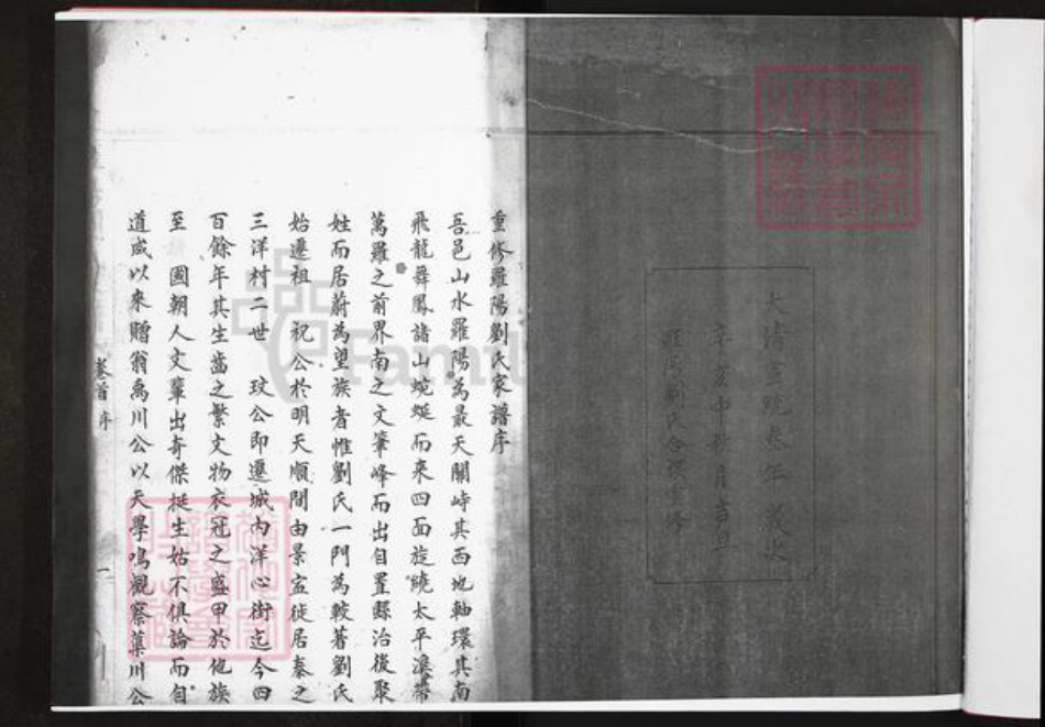 浙江省温州市泰顺县刘氏族谱-罗阳刘氏宗谱.pdf电子版插图2