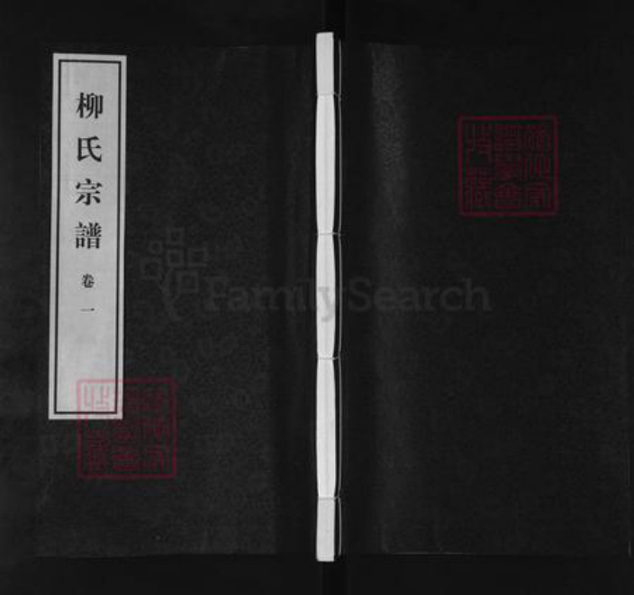 江苏省无锡市江阴市临港街道柳氏敦睦堂族谱-柳氏宗谱.pdf电子版