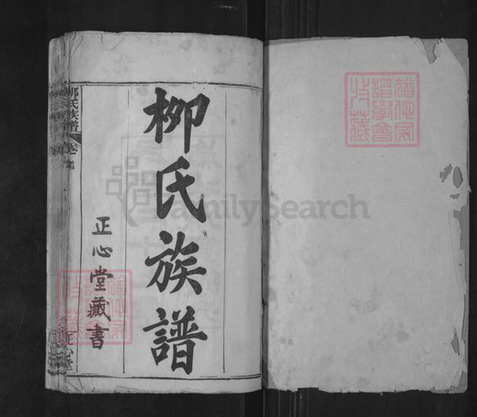 湖北省武汉市新洲区柳氏正心堂族谱-柳氏族谱.pdf电子版插图1