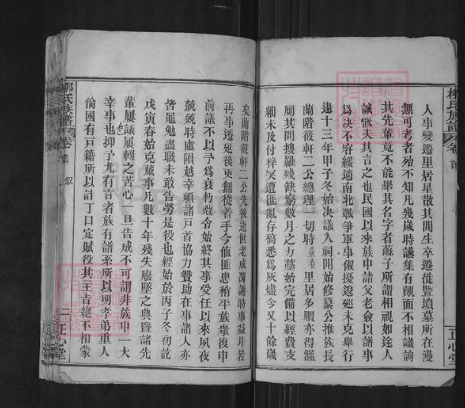 湖北省武汉市新洲区柳氏正心堂族谱-柳氏族谱.pdf电子版插图3