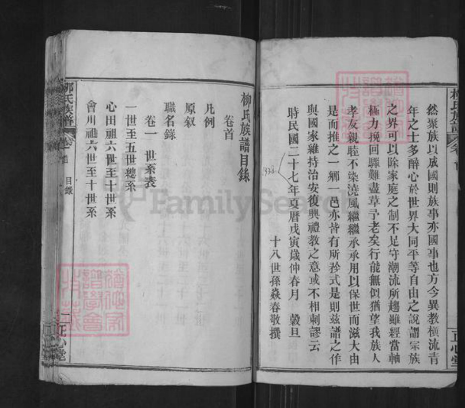 湖北省武汉市新洲区柳氏正心堂族谱-柳氏族谱.pdf电子版插图4