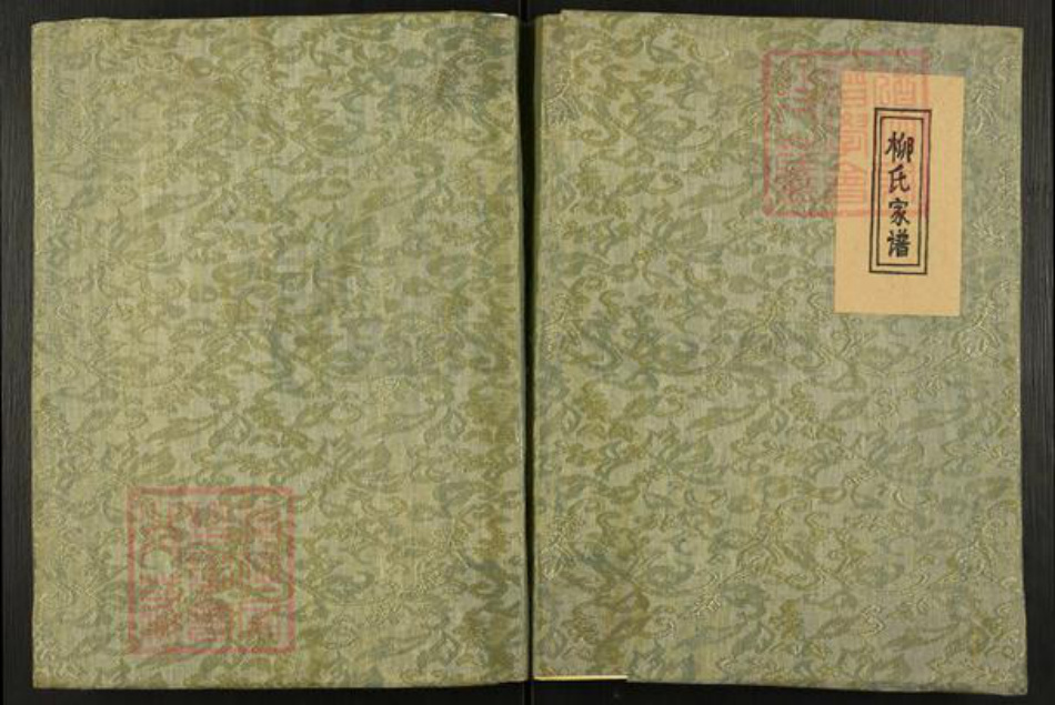 河南省南阳市卧龙区王村乡柳氏河东堂族谱-柳氏家谱.pdf电子版