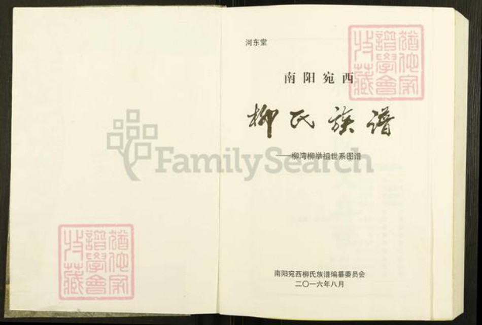 河南省南阳市卧龙区王村乡柳氏河东堂族谱-柳氏家谱.pdf电子版插图1