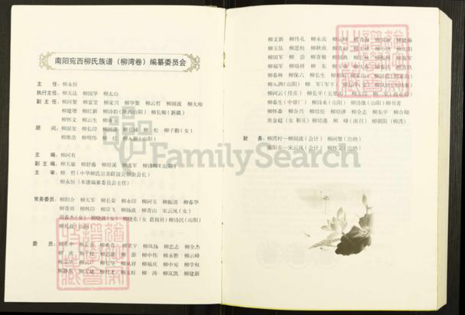 河南省南阳市卧龙区王村乡柳氏河东堂族谱-柳氏家谱.pdf电子版插图4