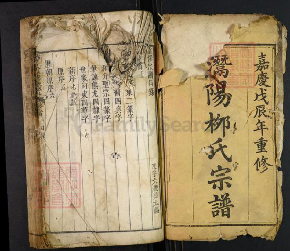 安徽省安庆市潜山市水吼镇柳氏族谱-柳氏重修宗谱.pdf电子版插图1