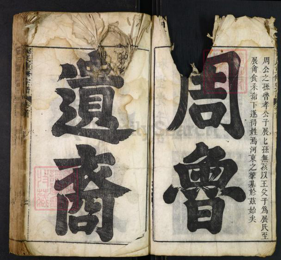 安徽省安庆市潜山市水吼镇柳氏族谱-柳氏重修宗谱.pdf电子版插图5