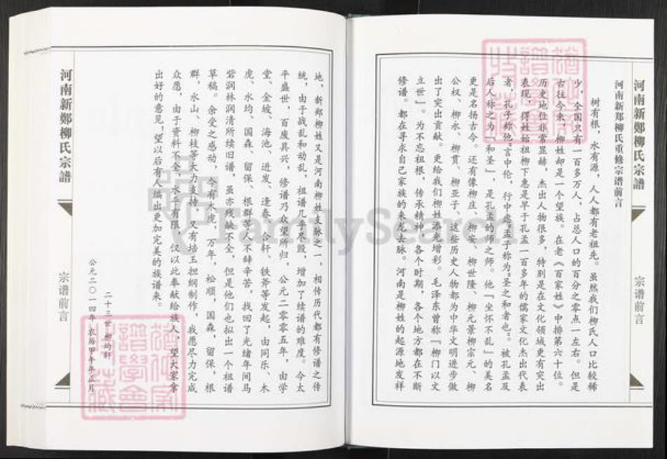 河南省郑州市新郑市柳氏族谱-河南新郑柳氏宗谱.pdf电子版插图3