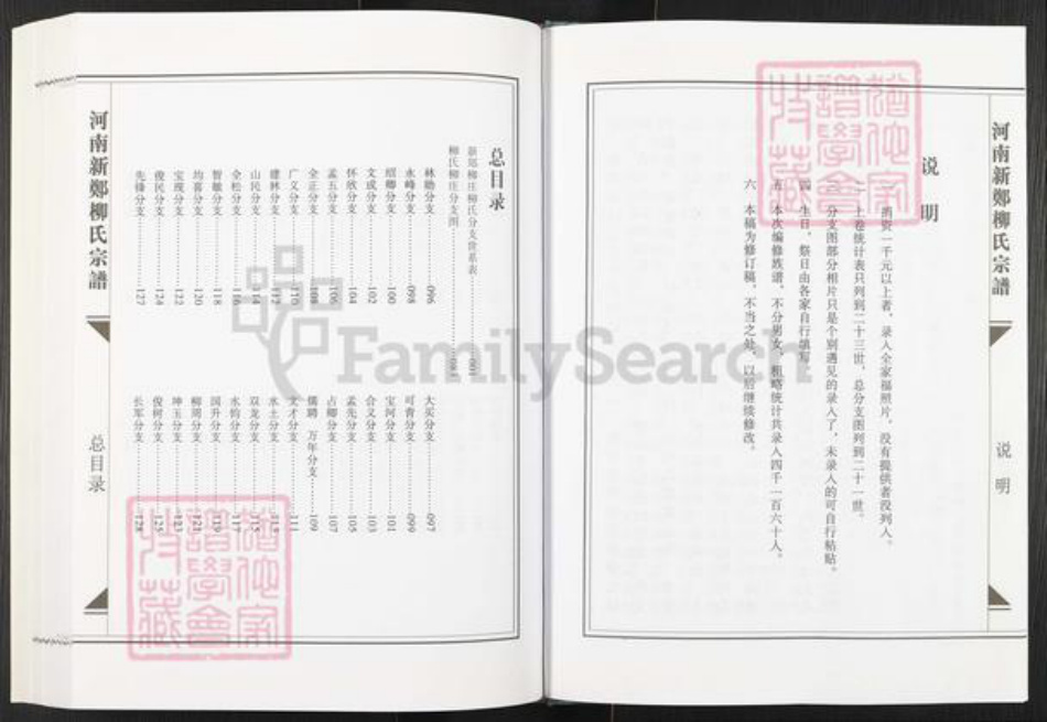 河南省郑州市新郑市柳氏族谱-河南新郑柳氏宗谱.pdf电子版插图4