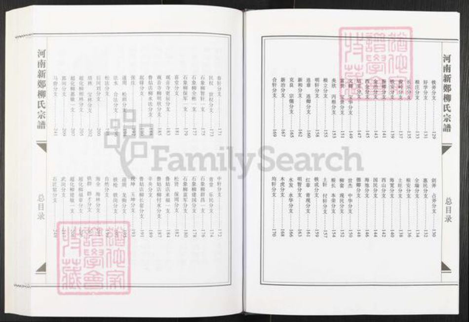 河南省郑州市新郑市柳氏族谱-河南新郑柳氏宗谱.pdf电子版插图5