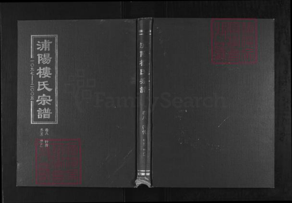 浙江省金华市浦江县楼氏族谱-浦阳楼氏合族宗谱.pdf电子版