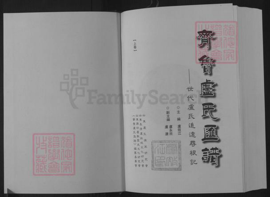 山东省济南市长清区卢氏族谱-齐鲁卢氏汇谱.pdf电子版插图1