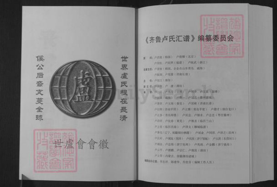 山东省济南市长清区卢氏族谱-齐鲁卢氏汇谱.pdf电子版插图2