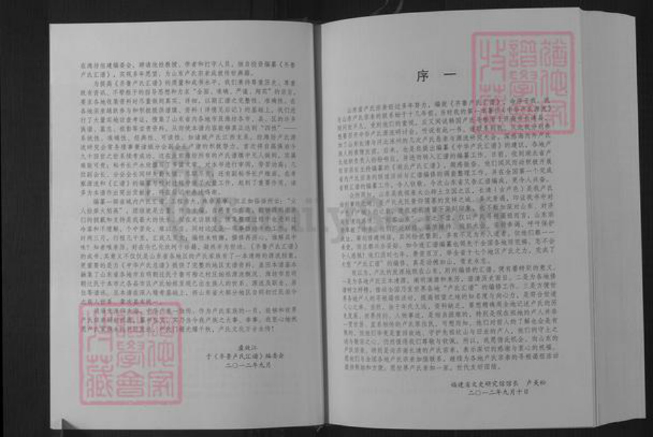 山东省济南市长清区卢氏族谱-齐鲁卢氏汇谱.pdf电子版插图4