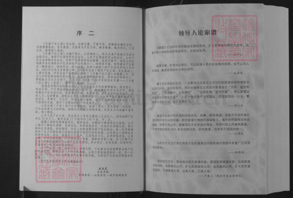 山东省济南市长清区卢氏族谱-齐鲁卢氏汇谱.pdf电子版插图5