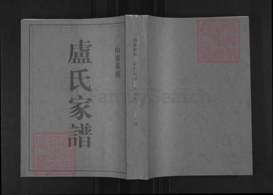 山东省济南市莱芜区羊里镇卢氏族谱-莱芜卢氏家谱.pdf电子版插图 山东省济南市莱芜区羊里镇卢氏族谱-莱芜卢氏家谱.pdf电子版插图