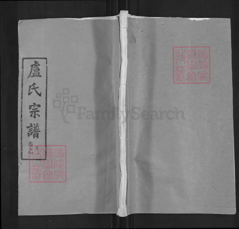 湖北省武汉市新洲区卢氏楷模堂族谱-卢氏宗谱.pdf电子版