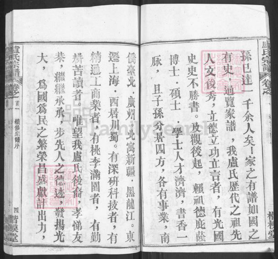 湖北省武汉市新洲区卢氏楷模堂族谱-卢氏宗谱.pdf电子版插图4