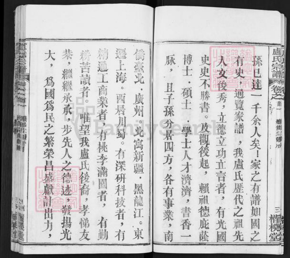 湖北省武汉市新洲区卢氏楷模堂族谱-卢氏宗谱.pdf电子版插图4