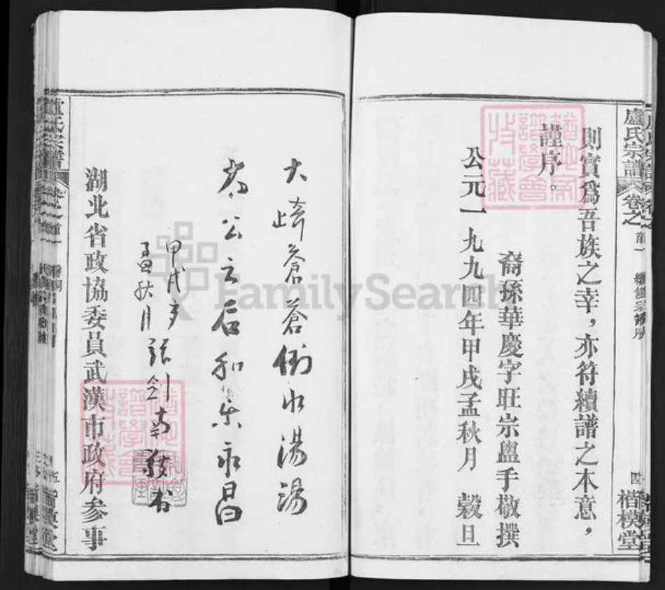 湖北省武汉市新洲区卢氏楷模堂族谱-卢氏宗谱.pdf电子版插图5