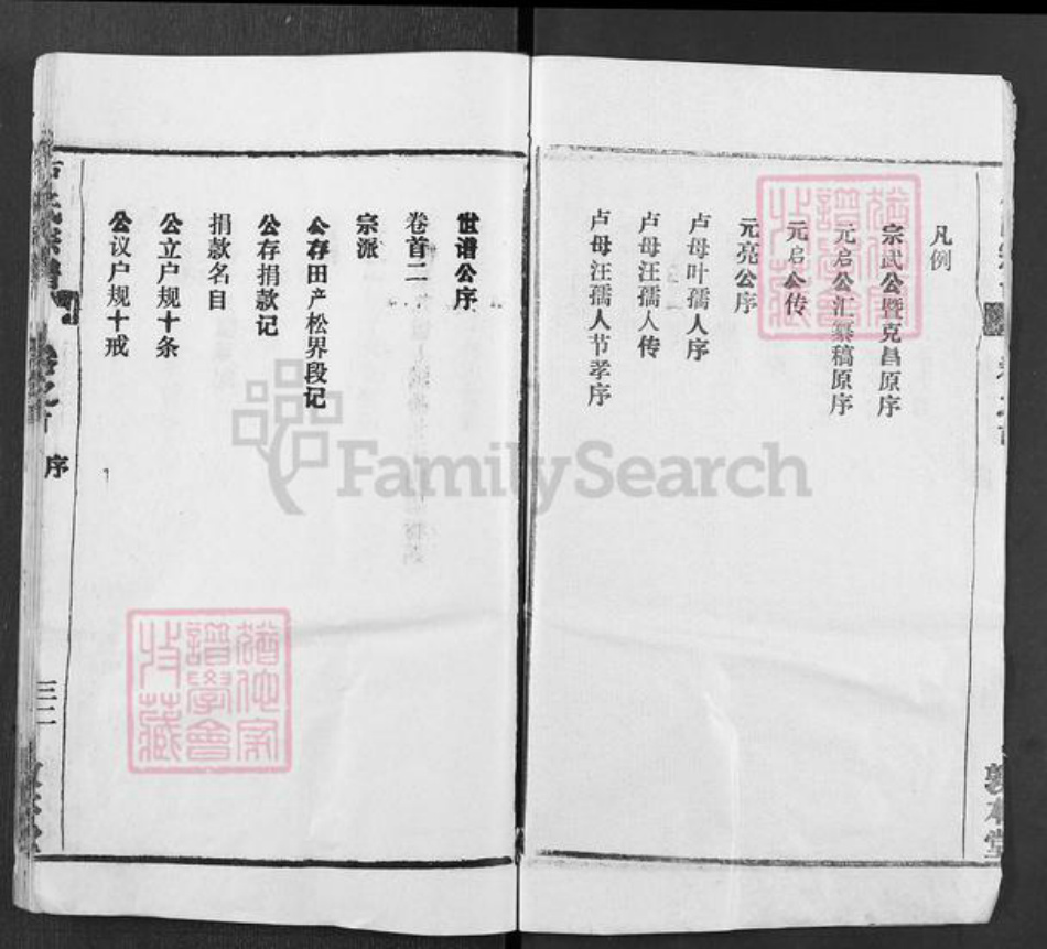 湖北省黄冈市罗田县大崎镇卢氏敦本堂族谱-卢氏宗谱.pdf电子版插图2