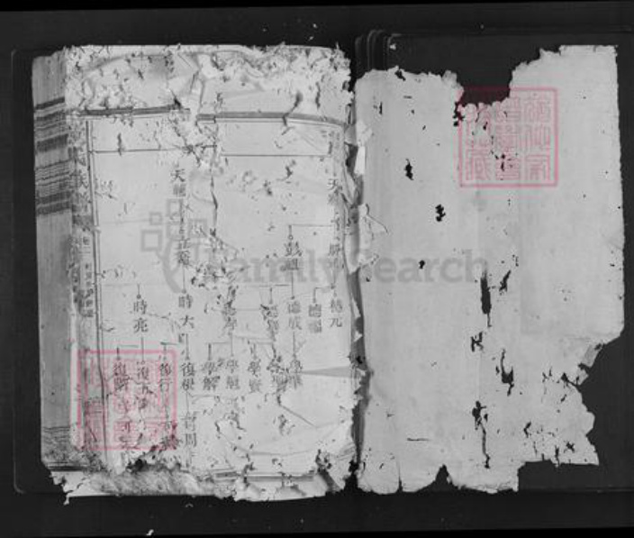 福建省三明市泰宁县卢氏族谱-卢氏族谱.pdf电子版插图1 福建省三明市泰宁县卢氏族谱-卢氏族谱.pdf电子版插图1