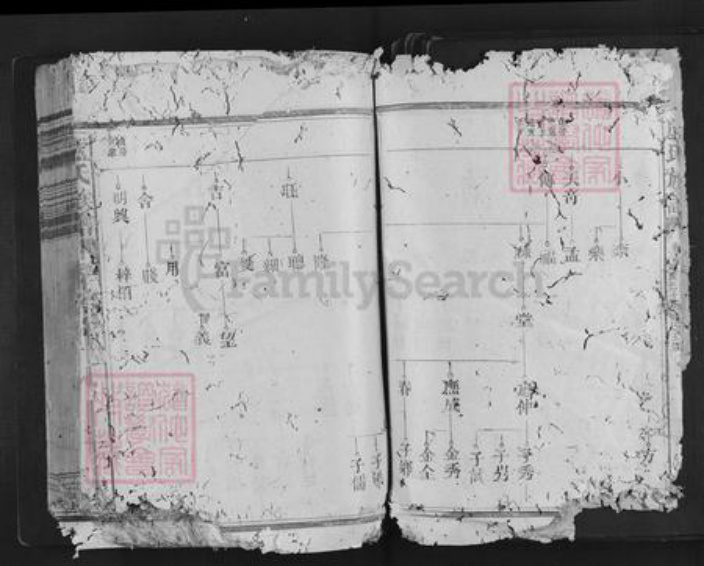 福建省三明市泰宁县卢氏族谱-卢氏族谱.pdf电子版插图5 福建省三明市泰宁县卢氏族谱-卢氏族谱.pdf电子版插图5