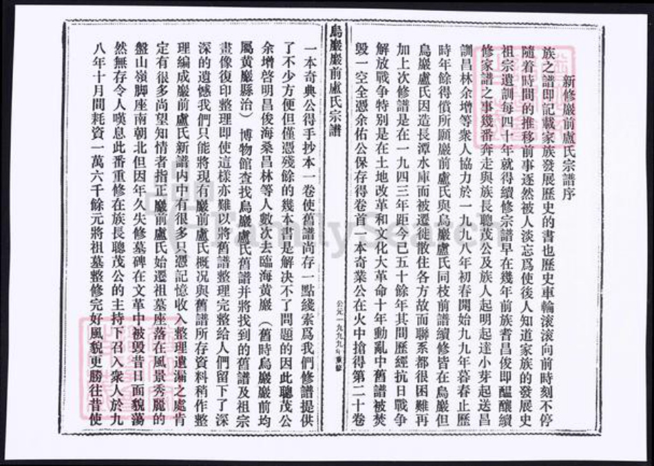 浙江省台州市温岭市卢氏族谱-乌岩岩前卢氏宗谱.pdf电子版插图4