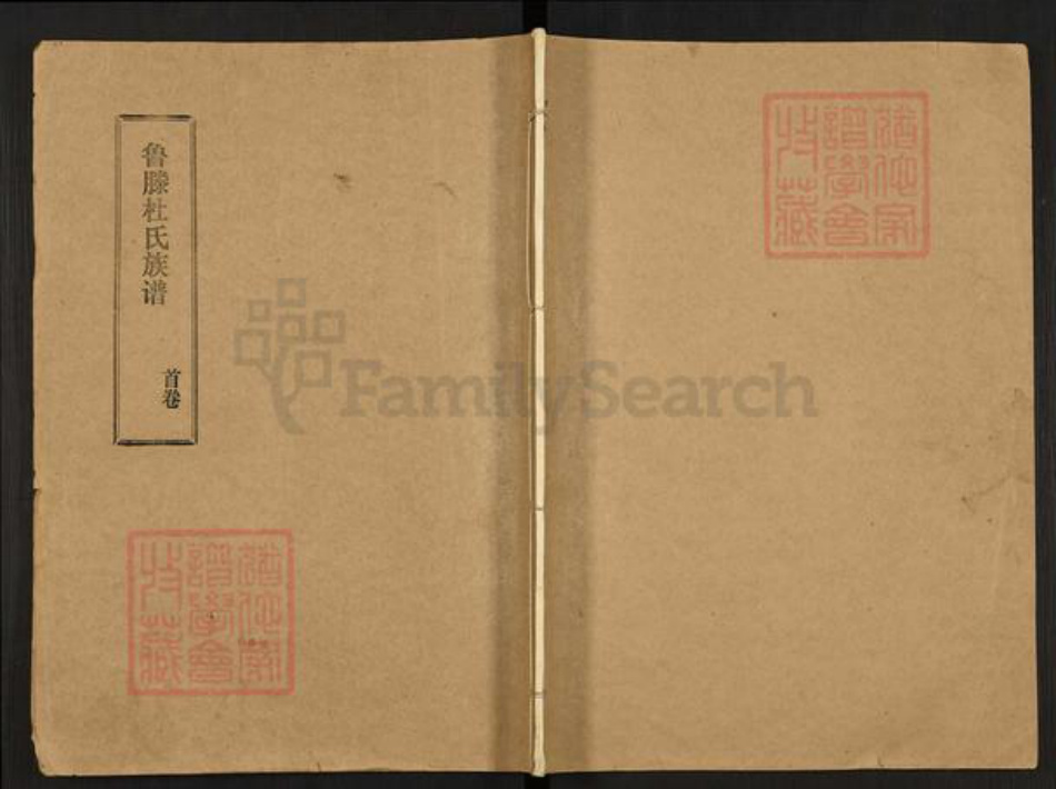 山东省枣庄市滕州市鲁氏族谱-鲁滕杜氏族谱.pdf电子版