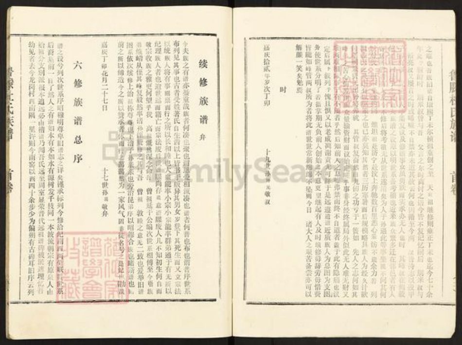 山东省枣庄市滕州市鲁氏族谱-鲁滕杜氏族谱.pdf电子版插图4