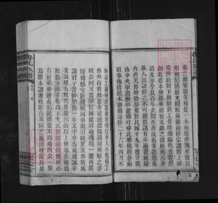 湖南省永州市零陵区鲁氏聚伦堂族谱-鲁氏族谱.pdf电子版插图2