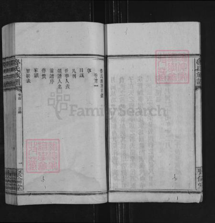 湖南省永州市零陵区鲁氏聚伦堂族谱-鲁氏族谱.pdf电子版插图5