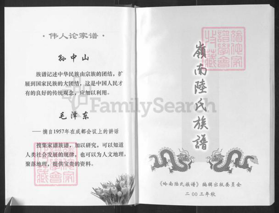 广东省肇庆市高要区陆氏三听堂族谱-岭南陆氏族谱(续集).pdf电子版插图2