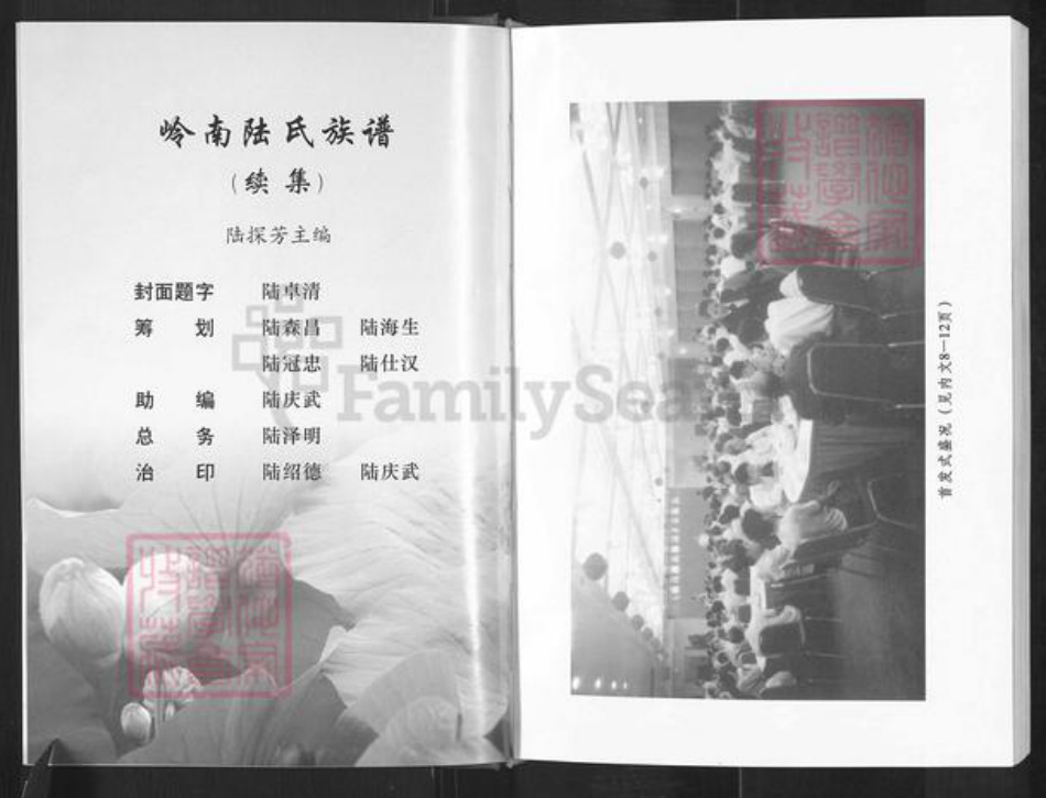 广东省肇庆市高要区陆氏三听堂族谱-岭南陆氏族谱(续集).pdf电子版插图3